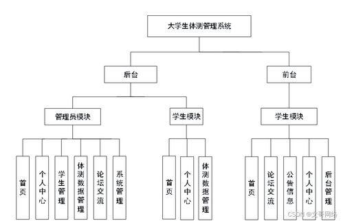 springboot大学生体测管理系统80wg4 了解毕业设计的关键考虑因素