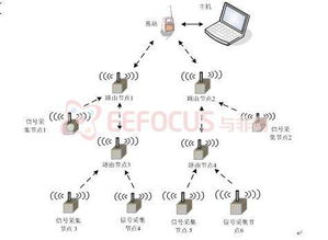 无线传感器网络用于环境监测的典型案例分析